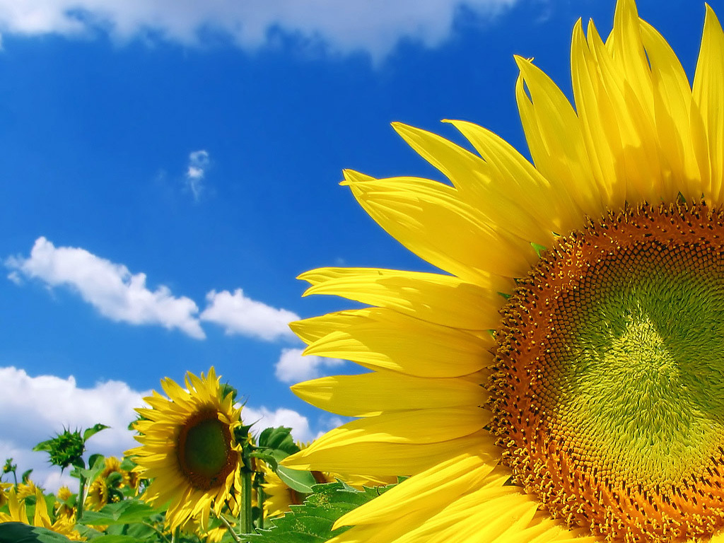 ขอรับบุญ-บาปแทนกันได้หรือไม่ ?